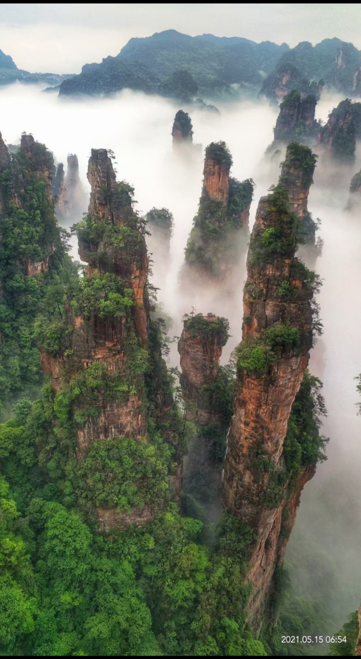雨后张家界如人间仙境,这样的山,你见过吗?