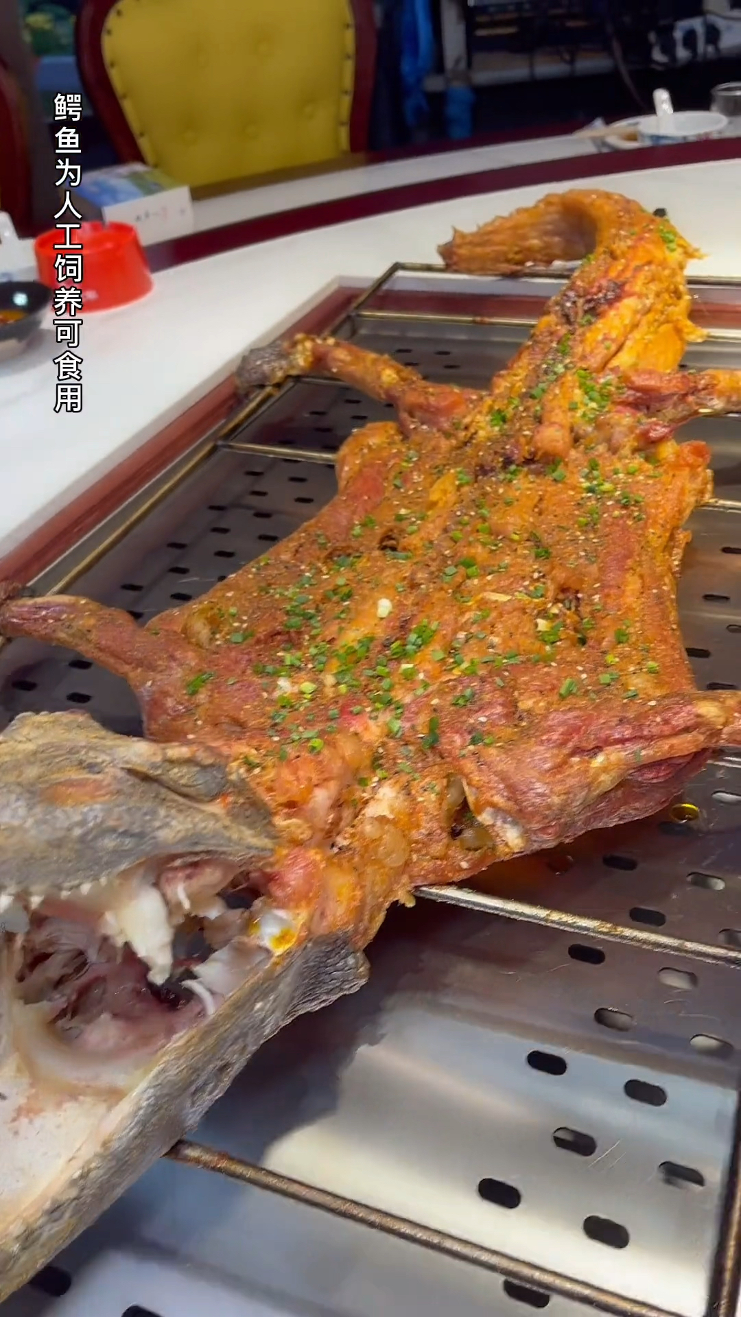 农村养殖业#烤全鳄