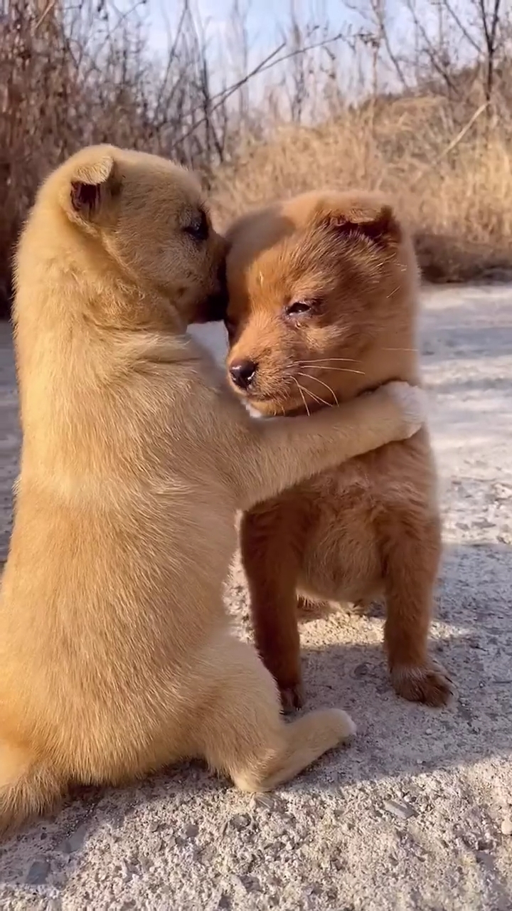 万物皆有灵性天真无邪的可爱