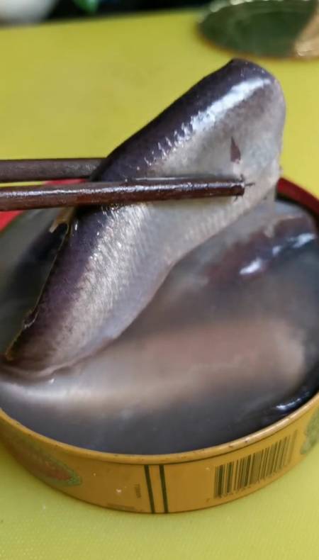 奇臭无比鲱鱼罐头,跟酸黄瓜更配哦