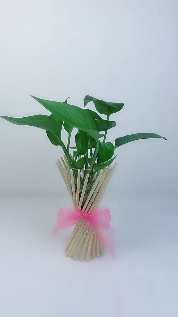 全民手工制作#一次性筷子喝矿泉水瓶别丢,做个花瓶-度小视