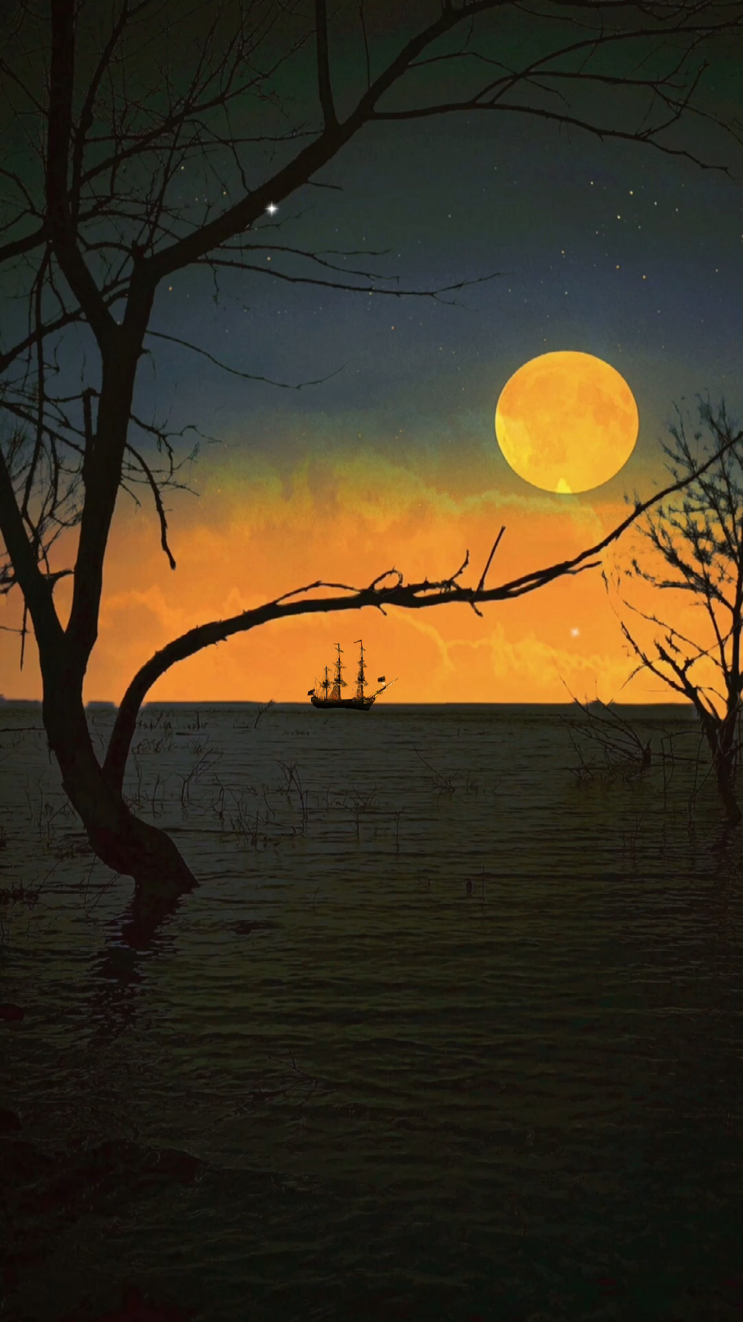 手机摄影#温柔的月光和你一样,让我止不住心动.