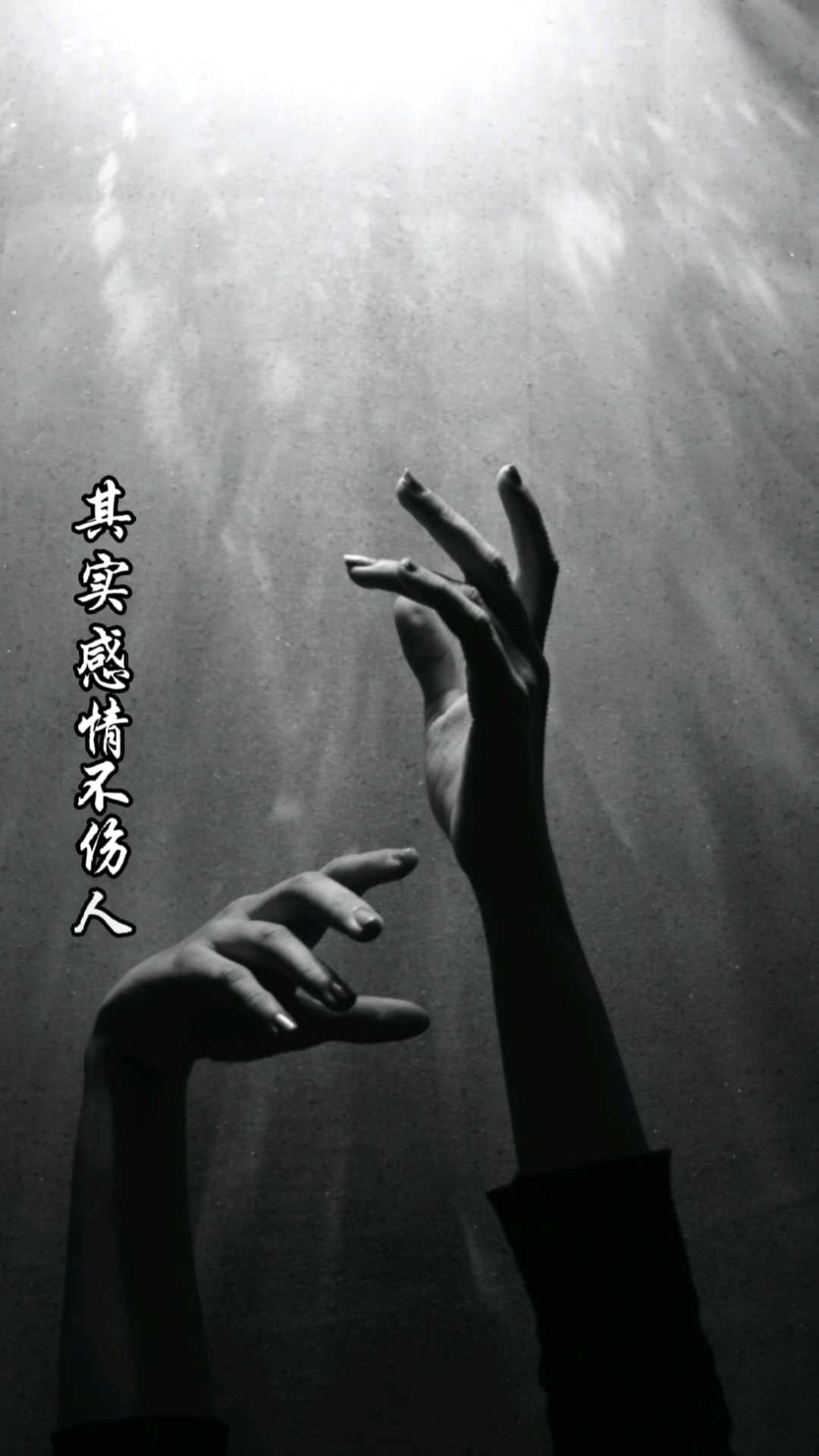 扎心情感语录#其实感情不伤人,伤的都是重感情的人.