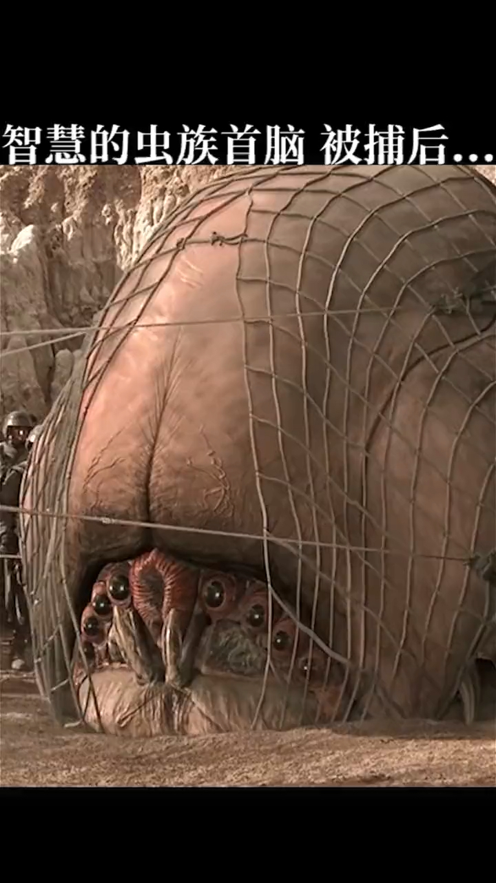 春天来了#智慧的虫族首脑,被捕后
