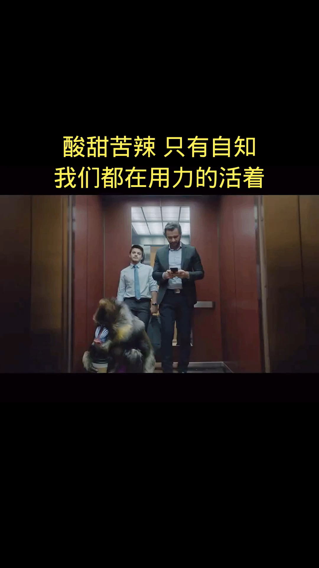 励志正能量#我们都在用力的活着,酸甜苦辣只有自知,风轻云淡一笑而过