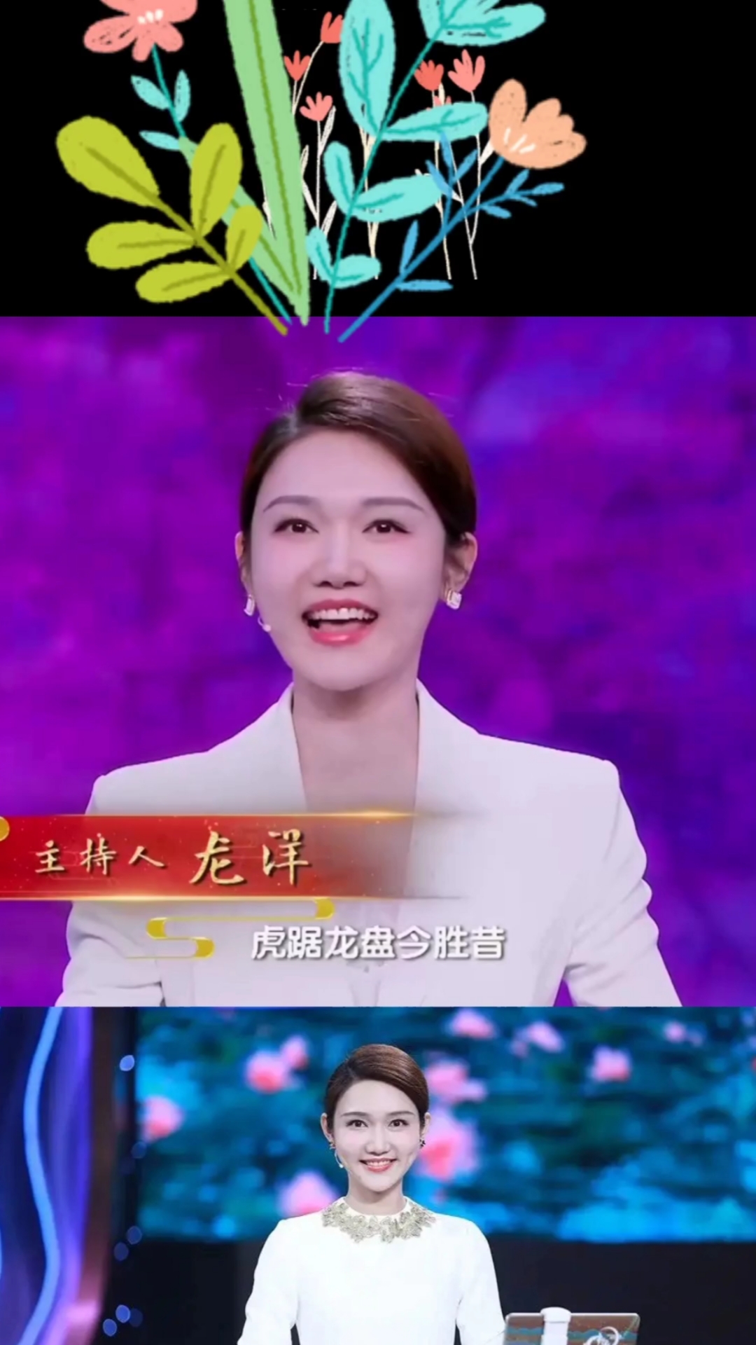 中国诗词大会第六季中国诗词大会第六季第十场主持人龙洋精彩开场白1