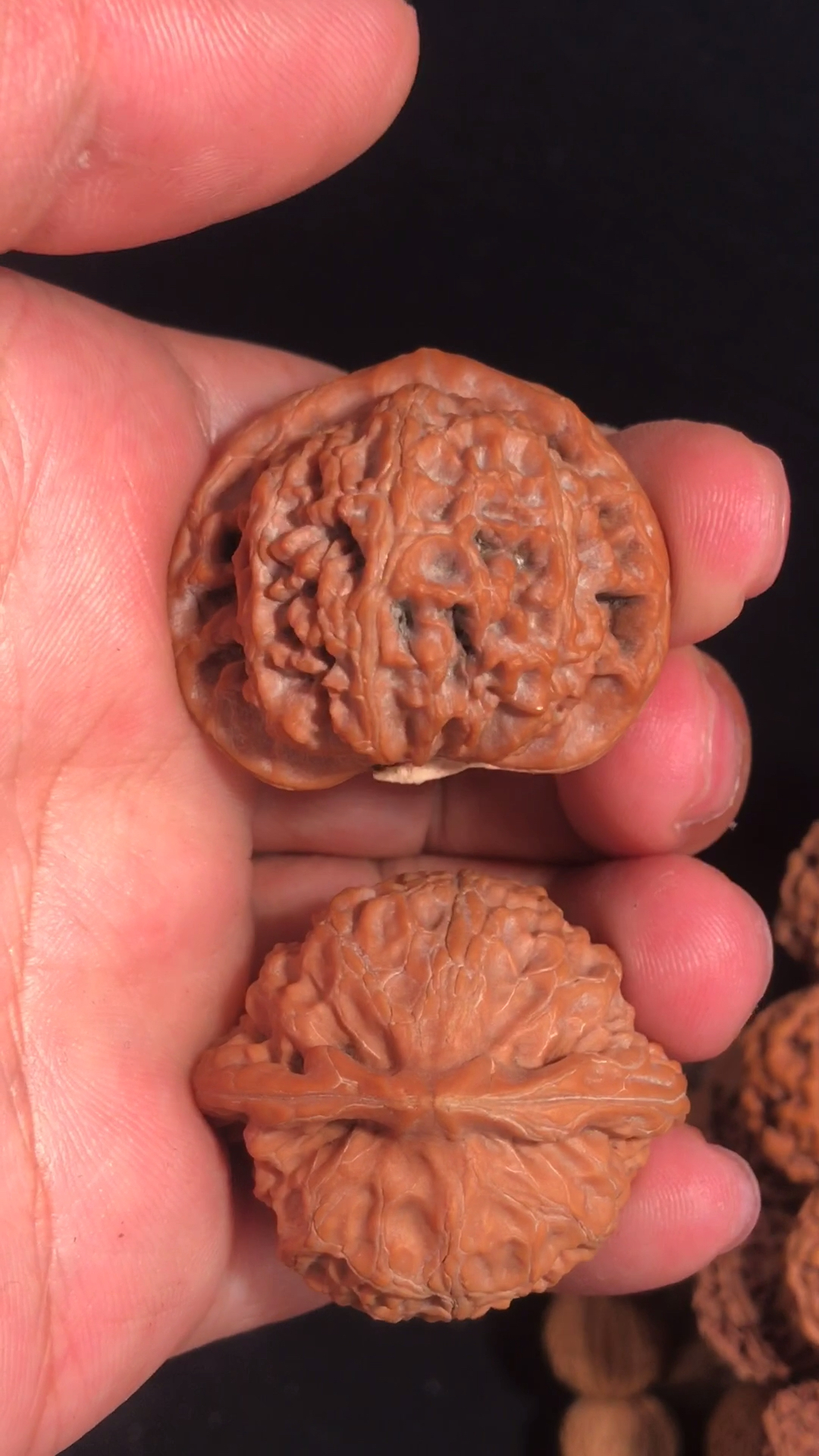 文玩核桃#小手捻宫灯狮子头