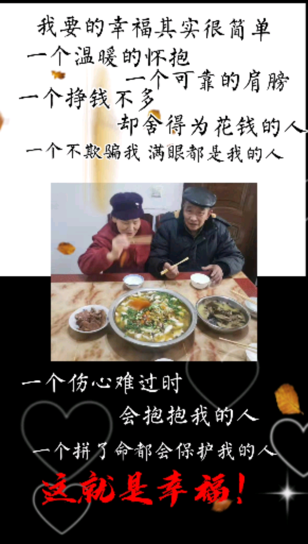 年龄大了只想要简单的陪伴,无条件的信任,看得见的在乎!