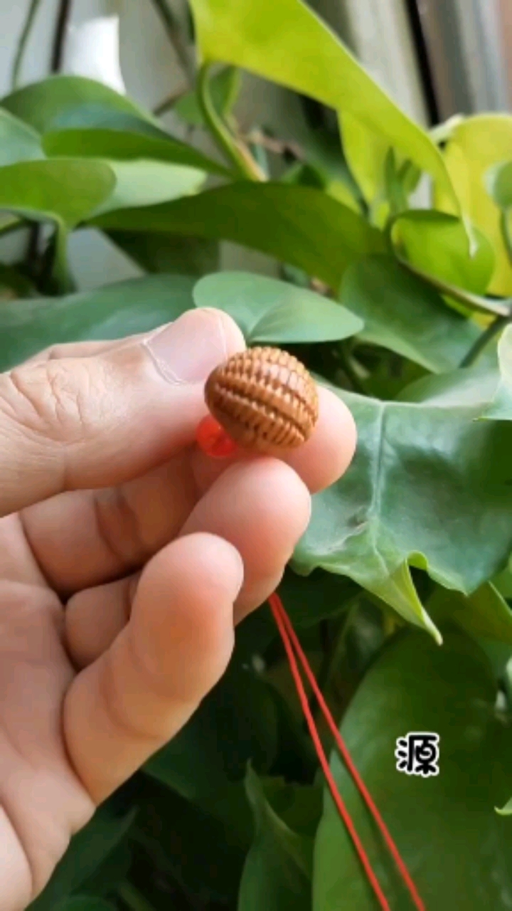 核雕定制,桃核雕刻《精品桃篮》