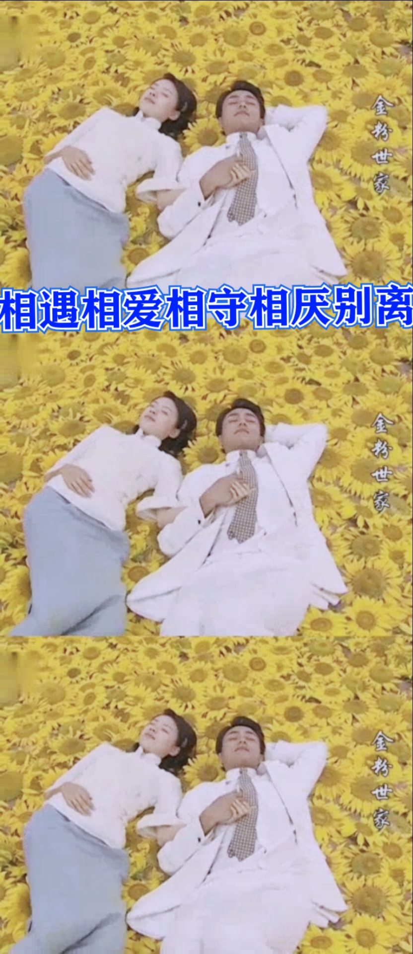 情感故事#《金粉世家》相遇时的惊艳,相爱时的浓烈,相守时的甜蜜,相