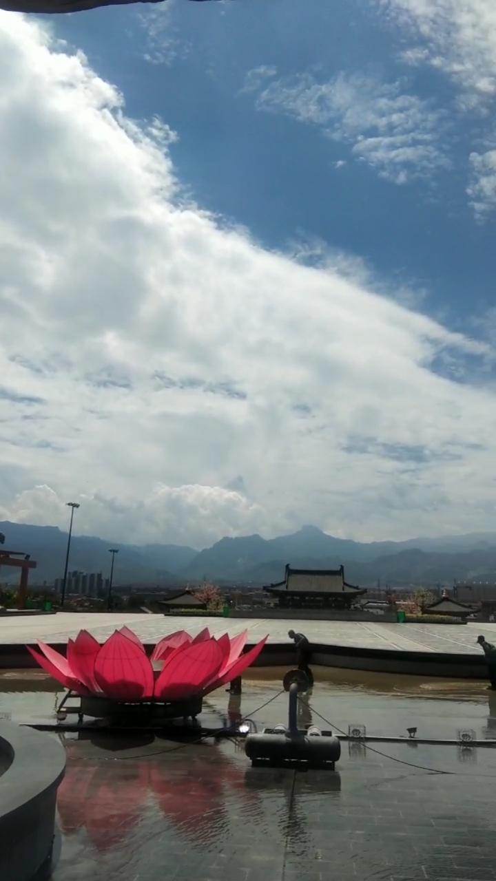 旅游进行时#美丽的忻州市砂河莲花广场