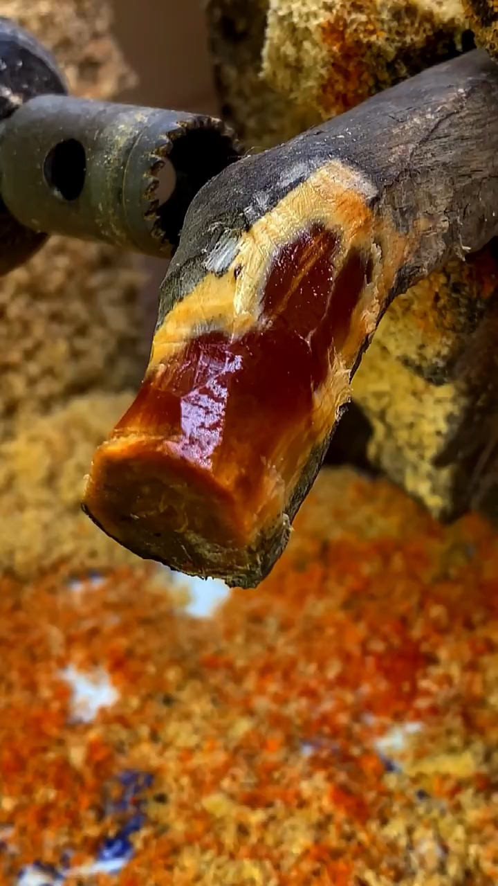 红松明子形出自然,色如琥珀,光泽璀璨,是植物的凝华