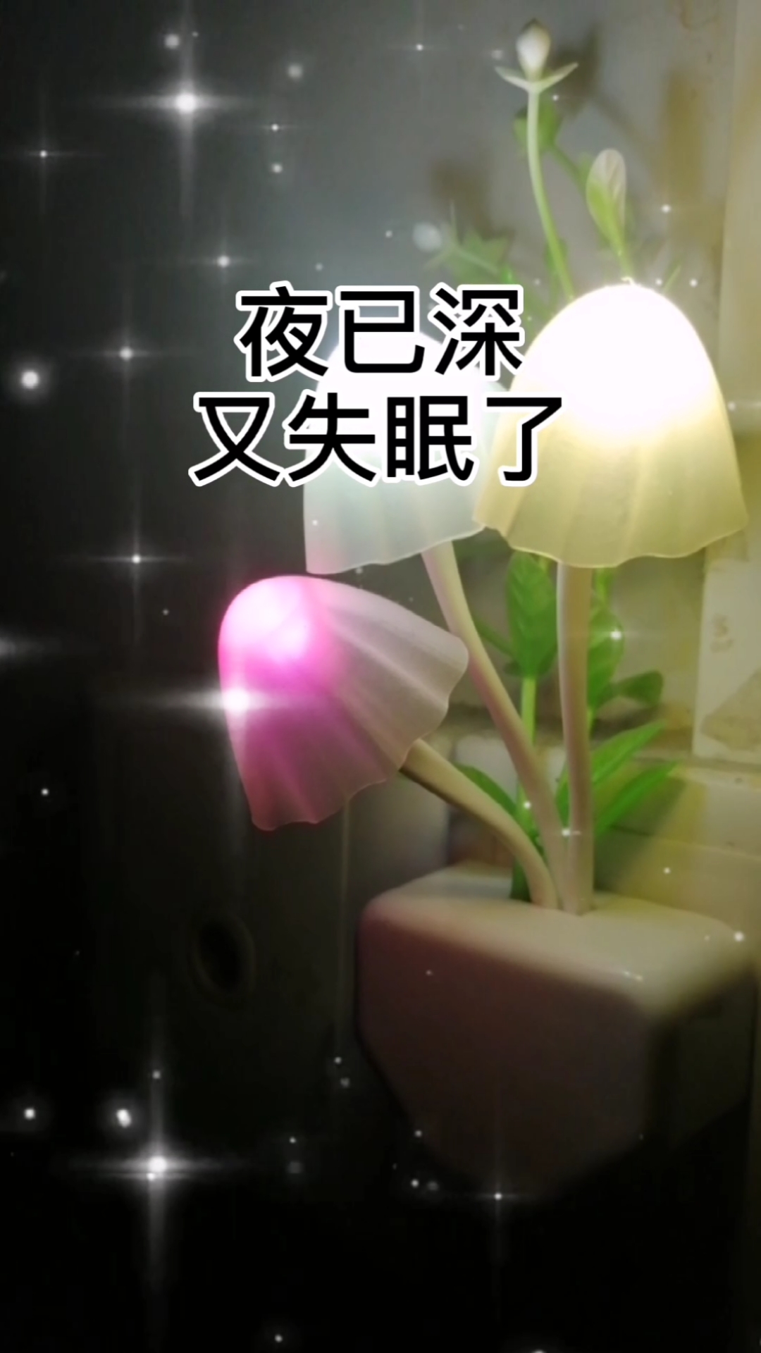 情感故事#夜深人静的时候你会想起谁
