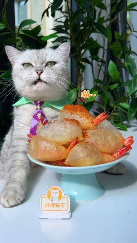 料理猫王做美食图片