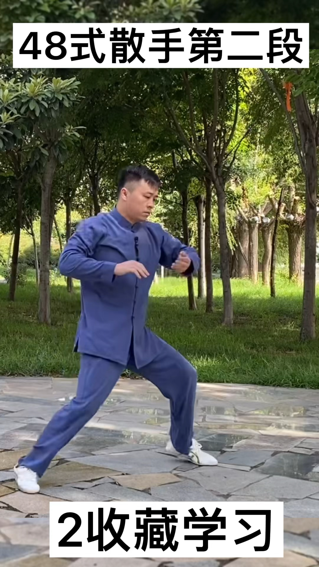 太极拳太极拳48式散手发力第二段收藏学习