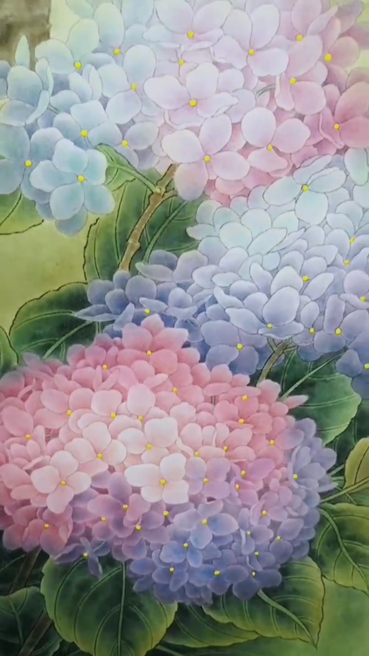 凌达工笔绣球欣赏