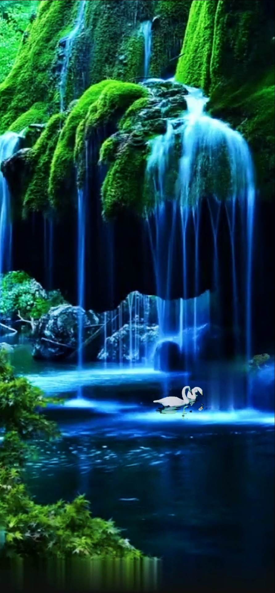 最美的风景#误入仙境,流连忘返.