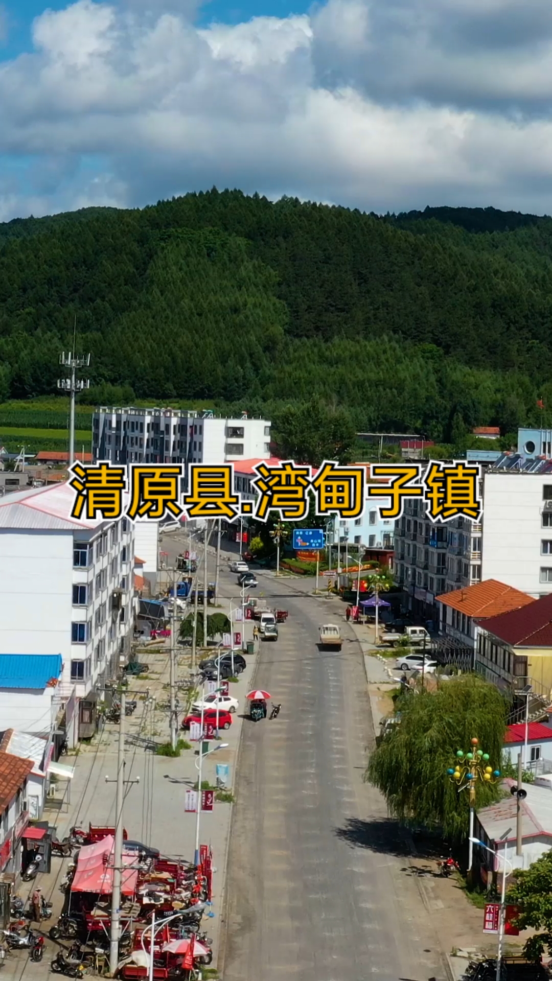 不一样的人生#辽宁省抚顺市清原满族自治县湾甸子镇