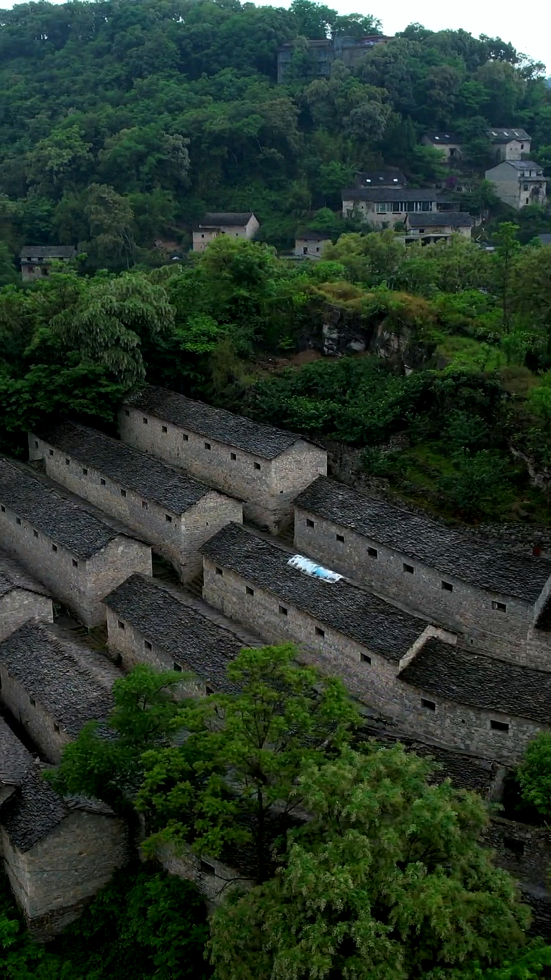 安顺石头寨景区图片图片