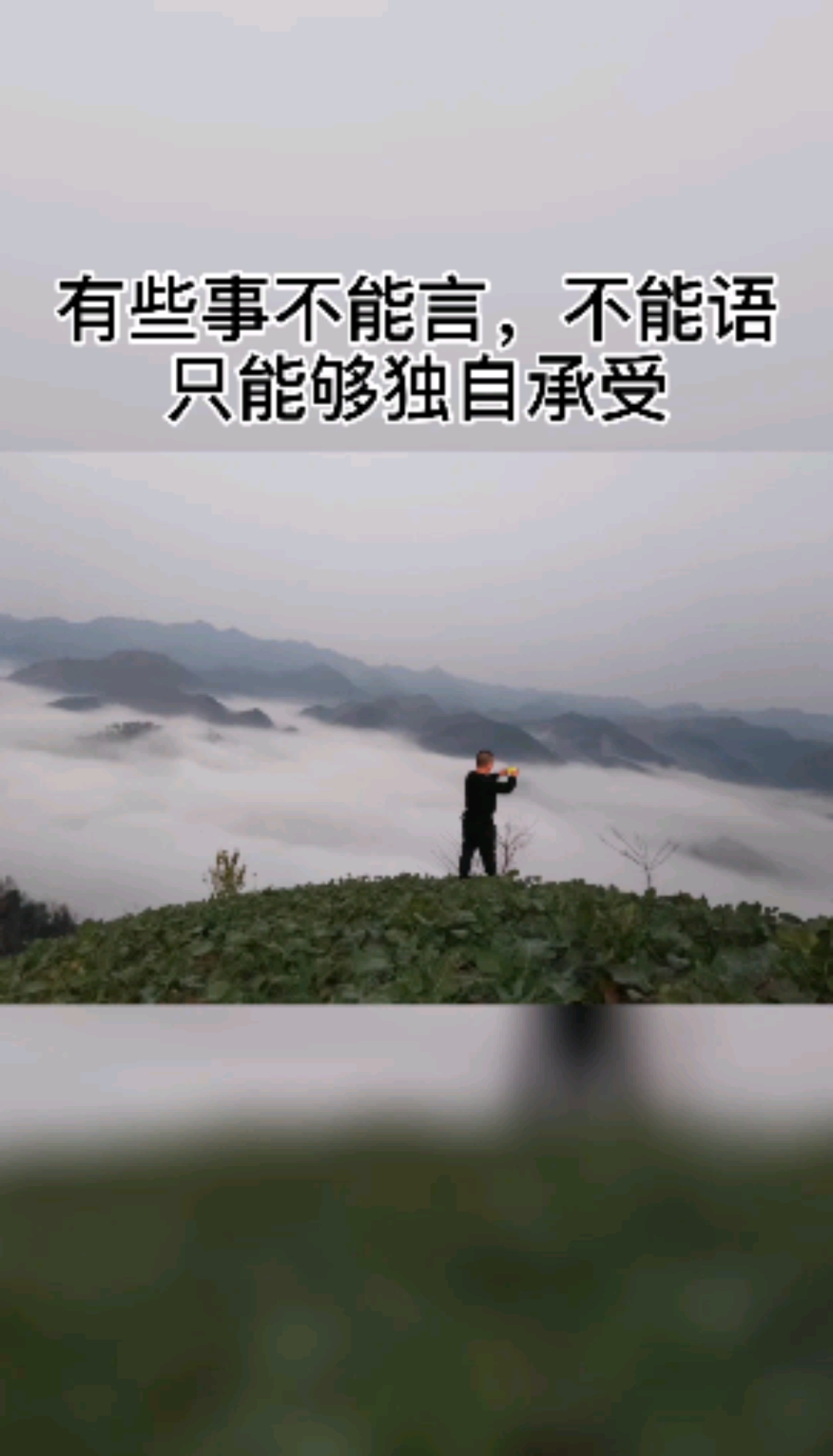 情感语录 每到夜深人静就突然睡不着