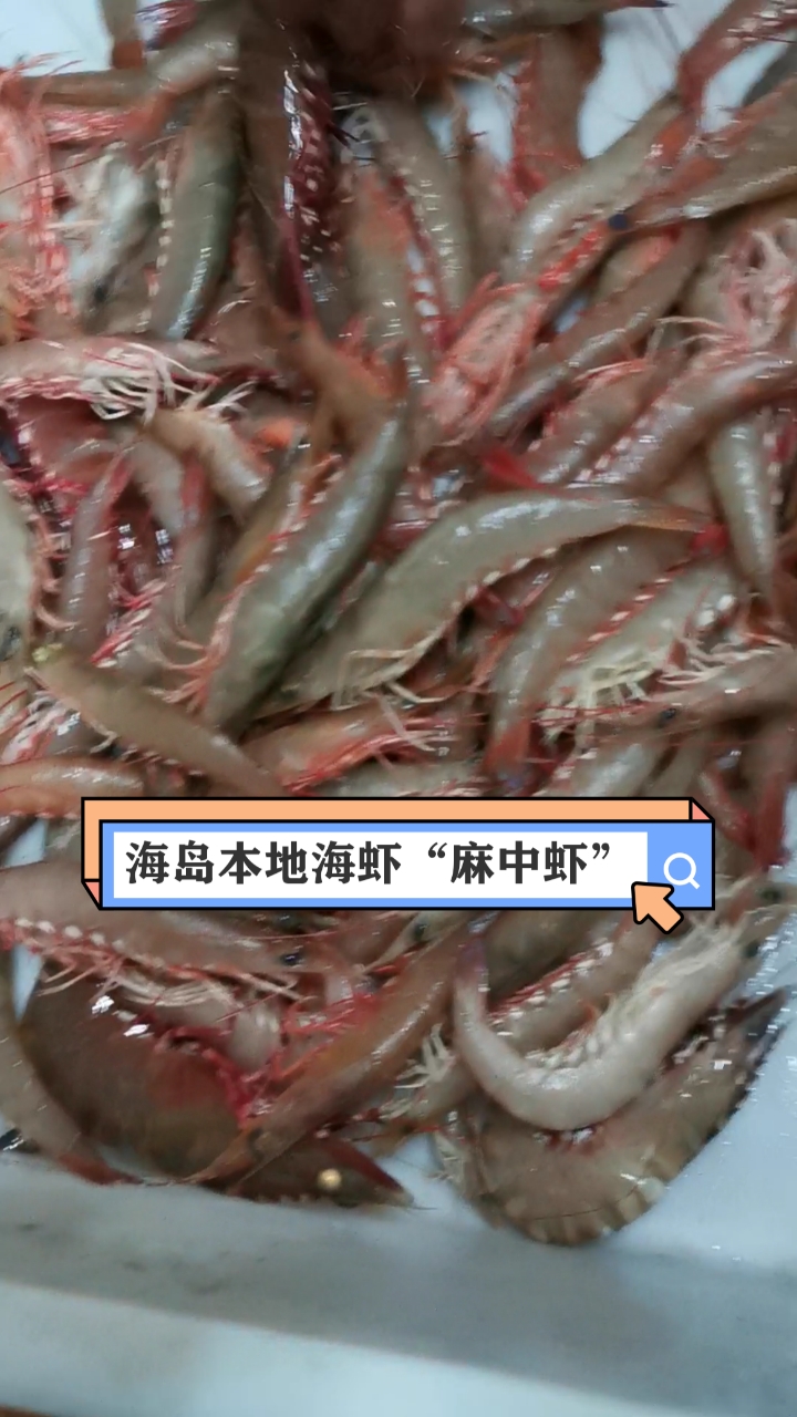 音为有你#海岛本地海虾"麻中虾"20只左右斤,今年第三次回这靓货!少量