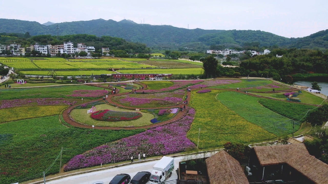 迳下村花田美景
