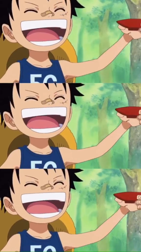 路飞小时候的样子好可爱啊!好想抱走藏起来