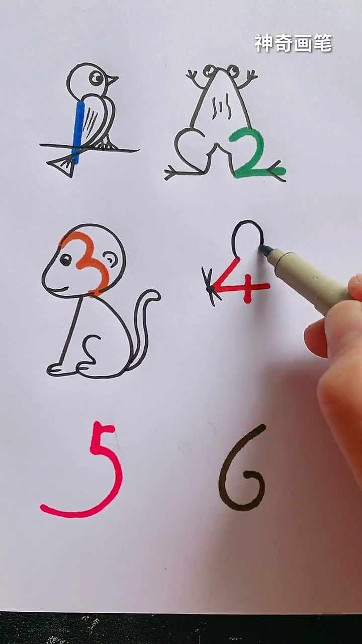 画画数字123456画小动物太可爱了