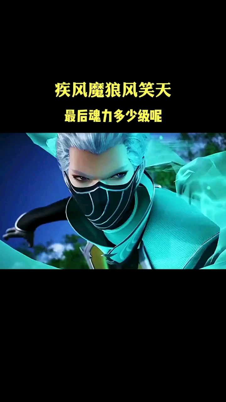 斗罗大陆风笑天最终魂力多少级