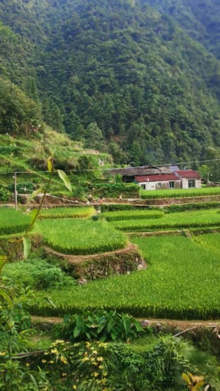 这就是农村乡下,山沟沟里很穷,很多人翻到我就直接划走了,我还是再发