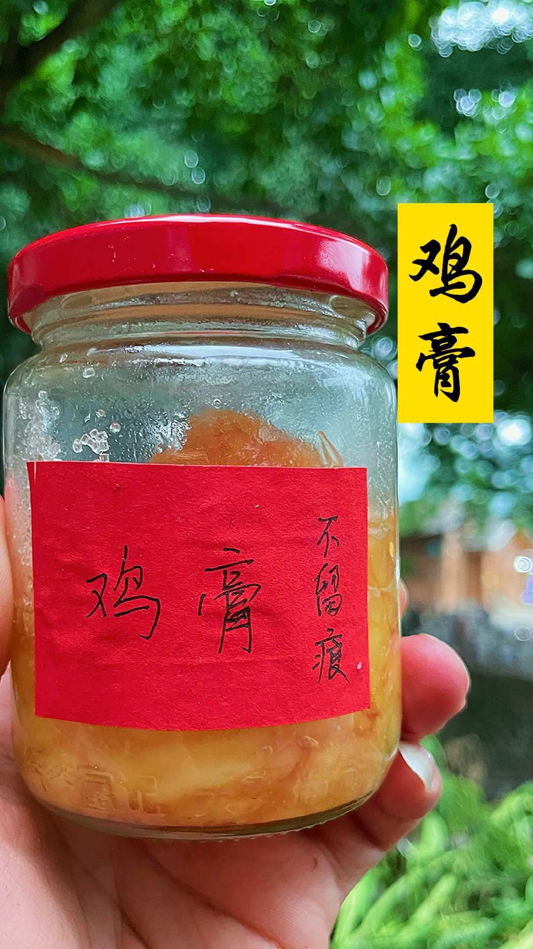 乡村生活大肥鸡里面的油扔了太可惜今天教你做个鸡油膏娃子磕磕碰碰不