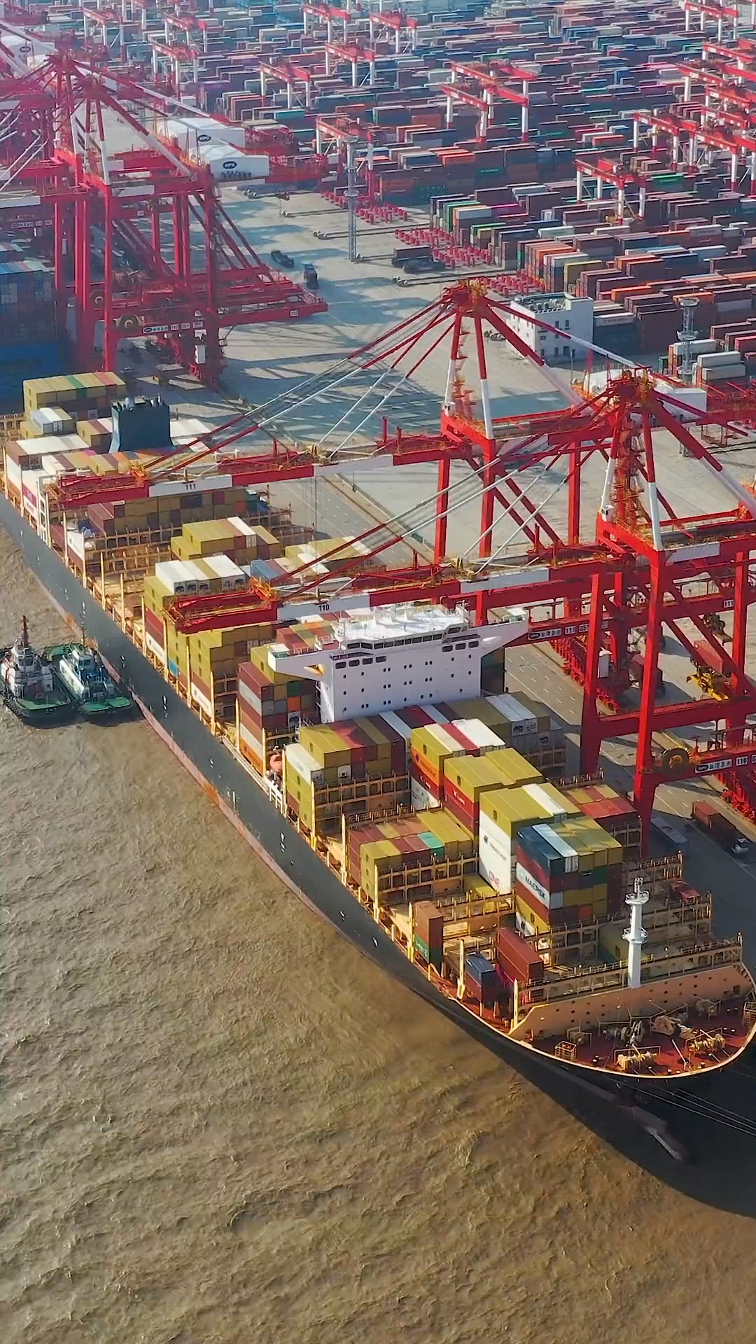 如果你到上海,一定要来看看全球最大的智能集装箱码头——洋山深水港