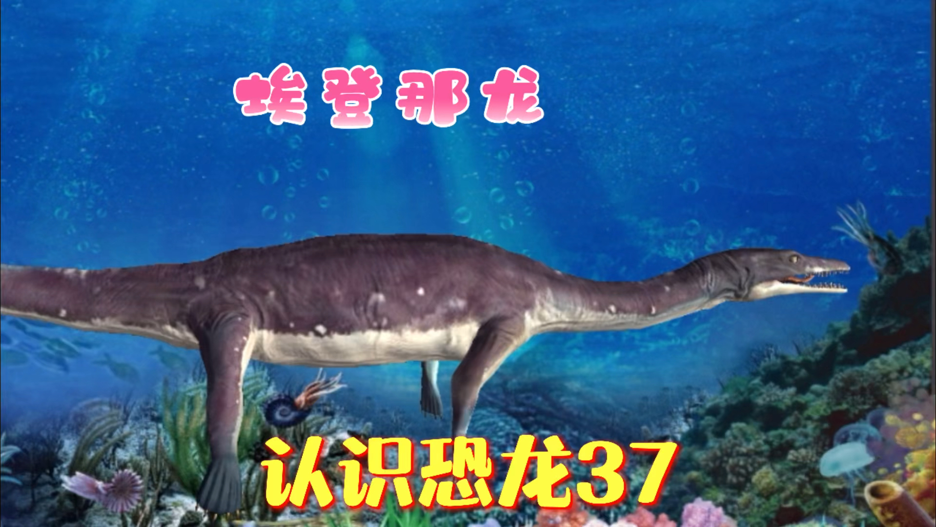 轻知计划认识恐龙37埃登那龙