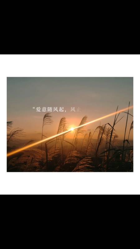 度小视文案#"爱意随风起,风止意难歇.