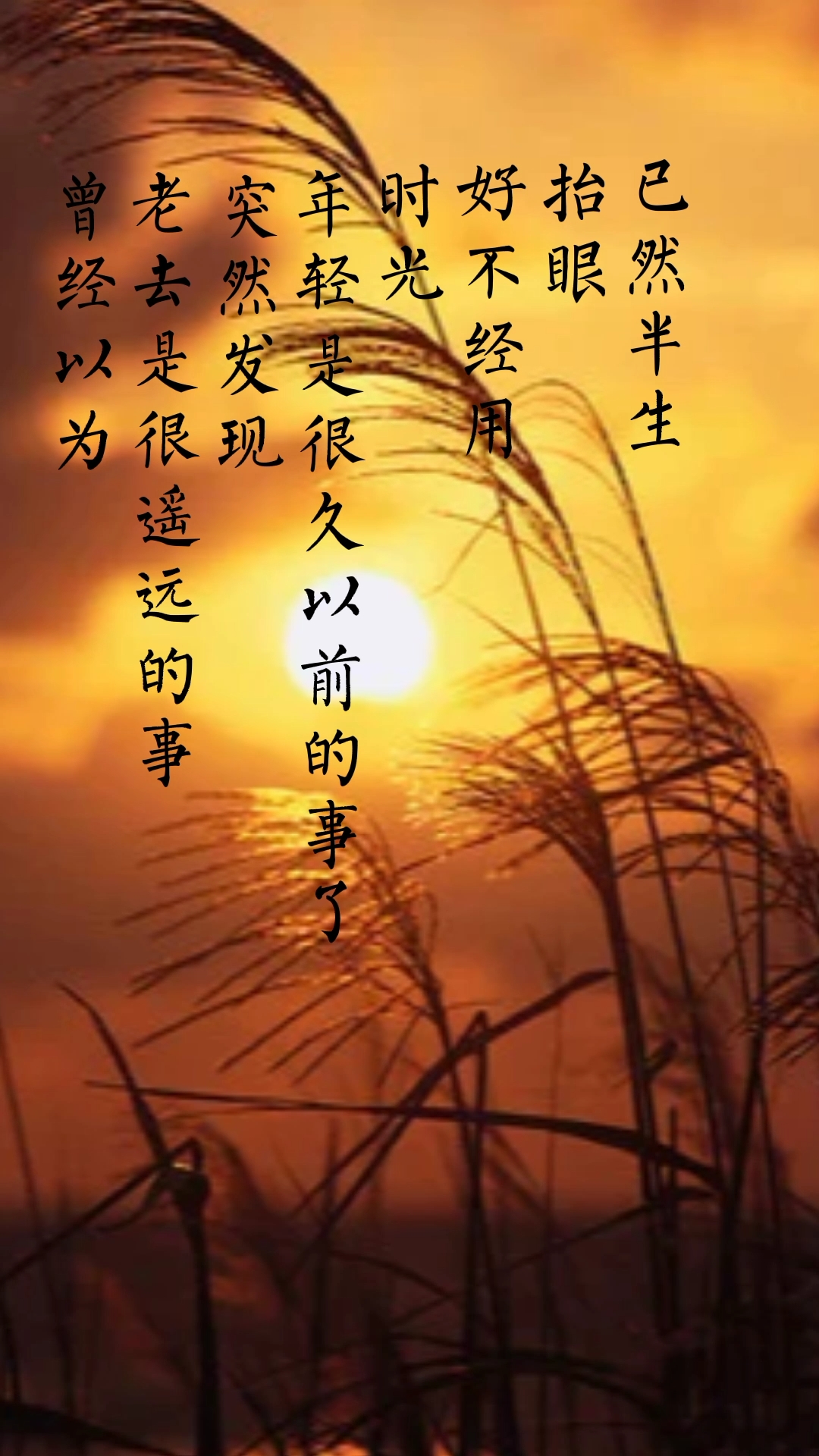 龙都衣舍文艺创作#转眼之间已然半生