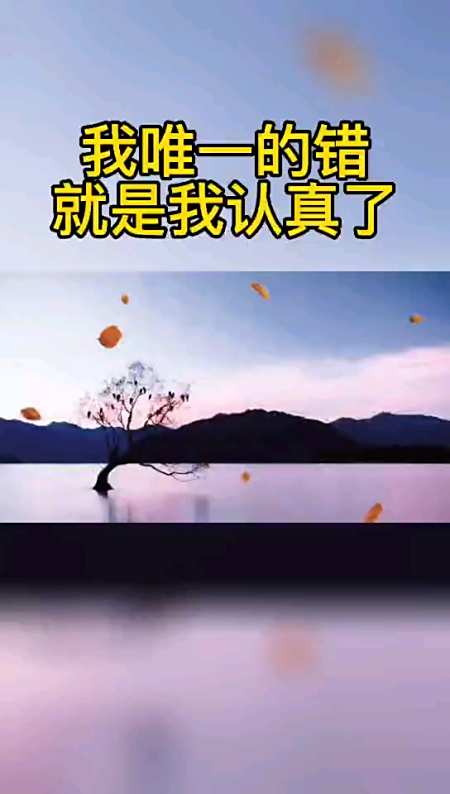 不是不爱了,而是折腾不动了