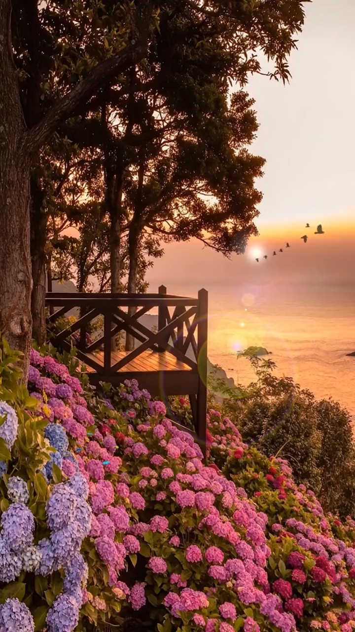 美景分享#很多美都适合一个人享受,比如思念,比如孤独.