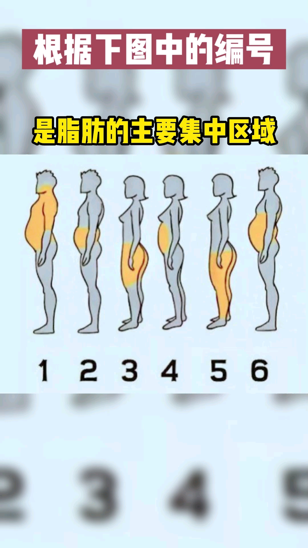 再不减肥就晚了#你的脂肪堆积在哪个部位多些?