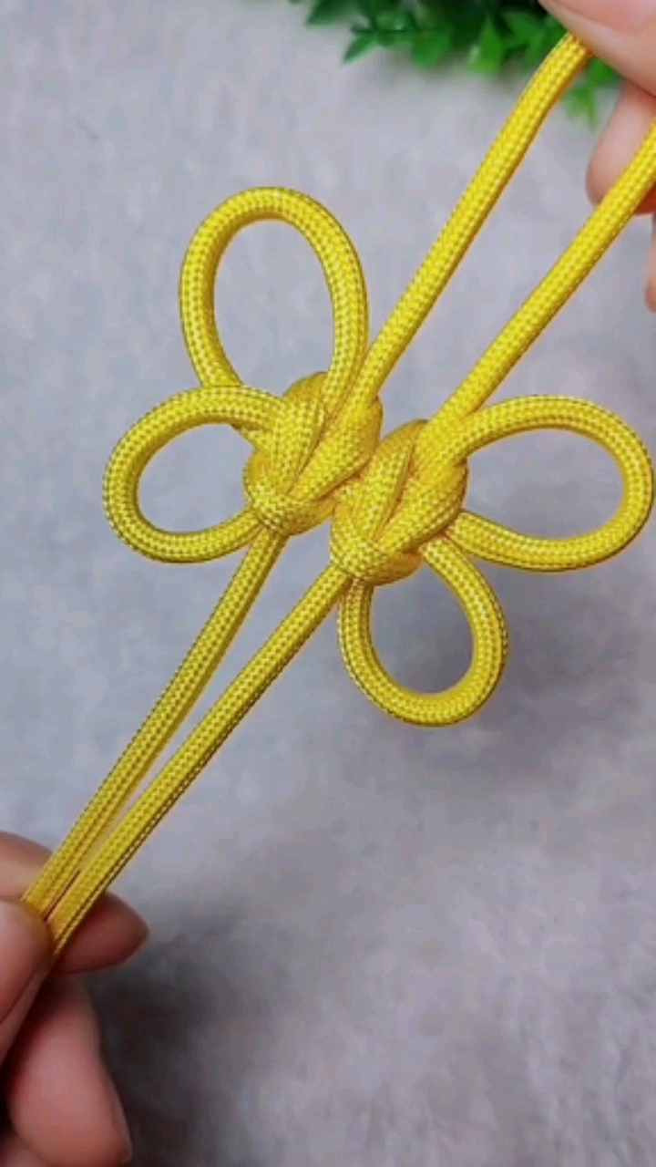 实用绳结#漂亮的蝴蝶结,你学会了吗?