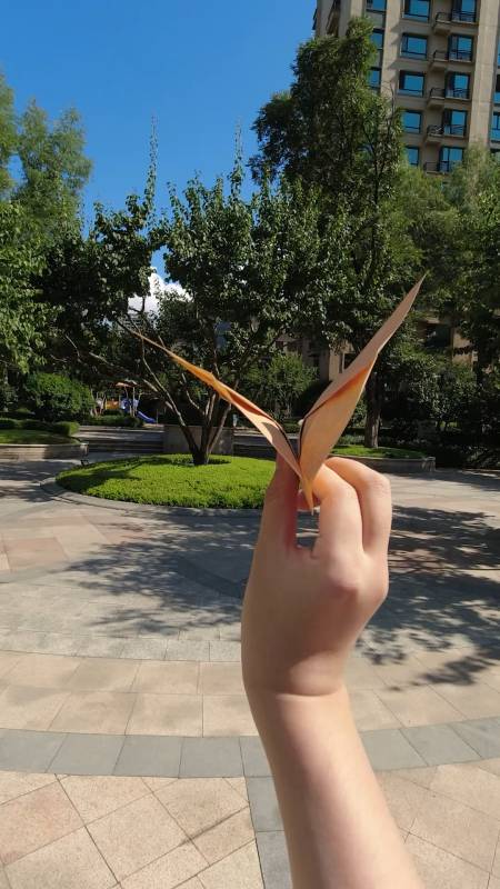 手工制作纸飞机这样才好玩火遍全网的仿生蝙蝠扑翼机