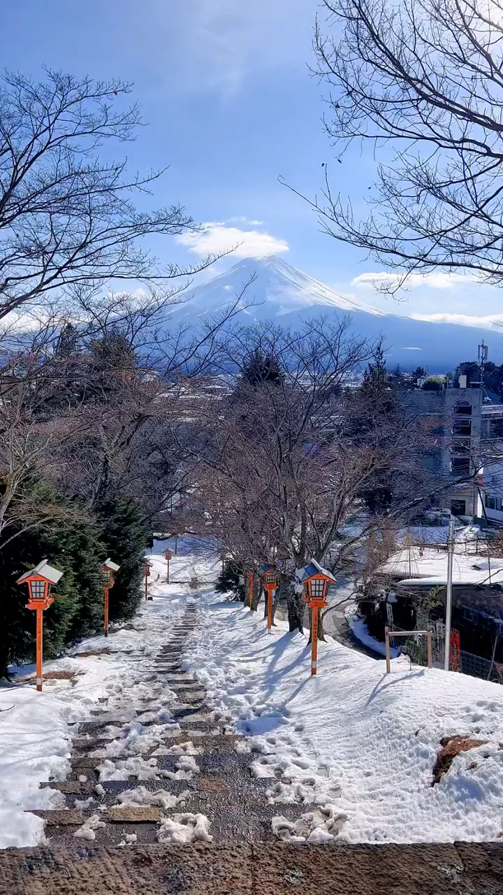 日本富士山下雪景