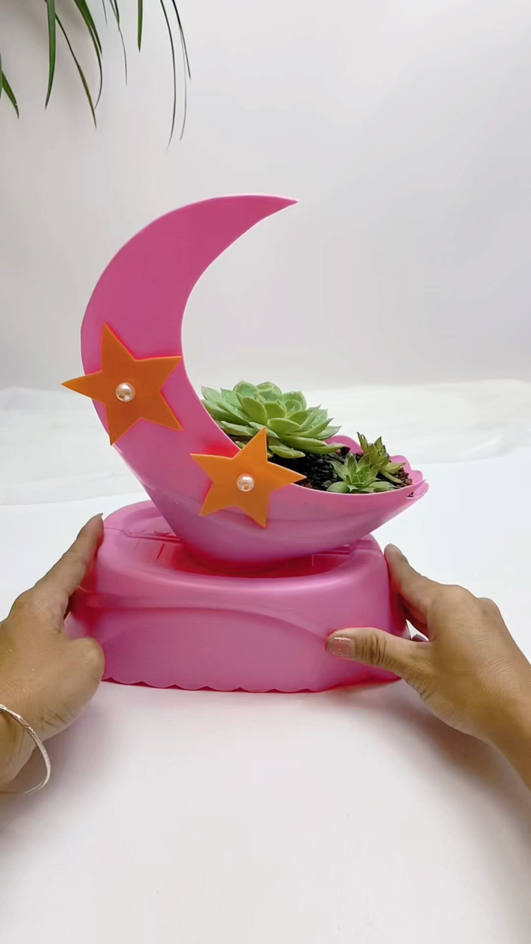 用完的洗衣液瓶子别扔这款够简单了吧快动手试试废物利用自制花盆