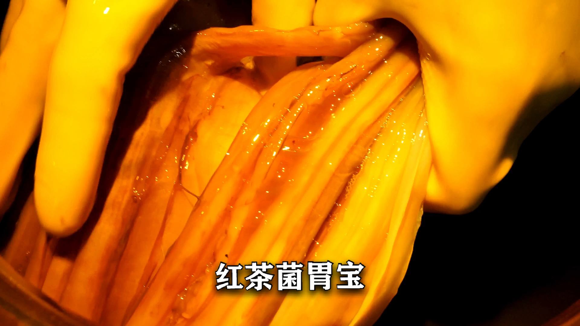 支氏酵品我们培养的红茶菌这菌膜长的太厚了