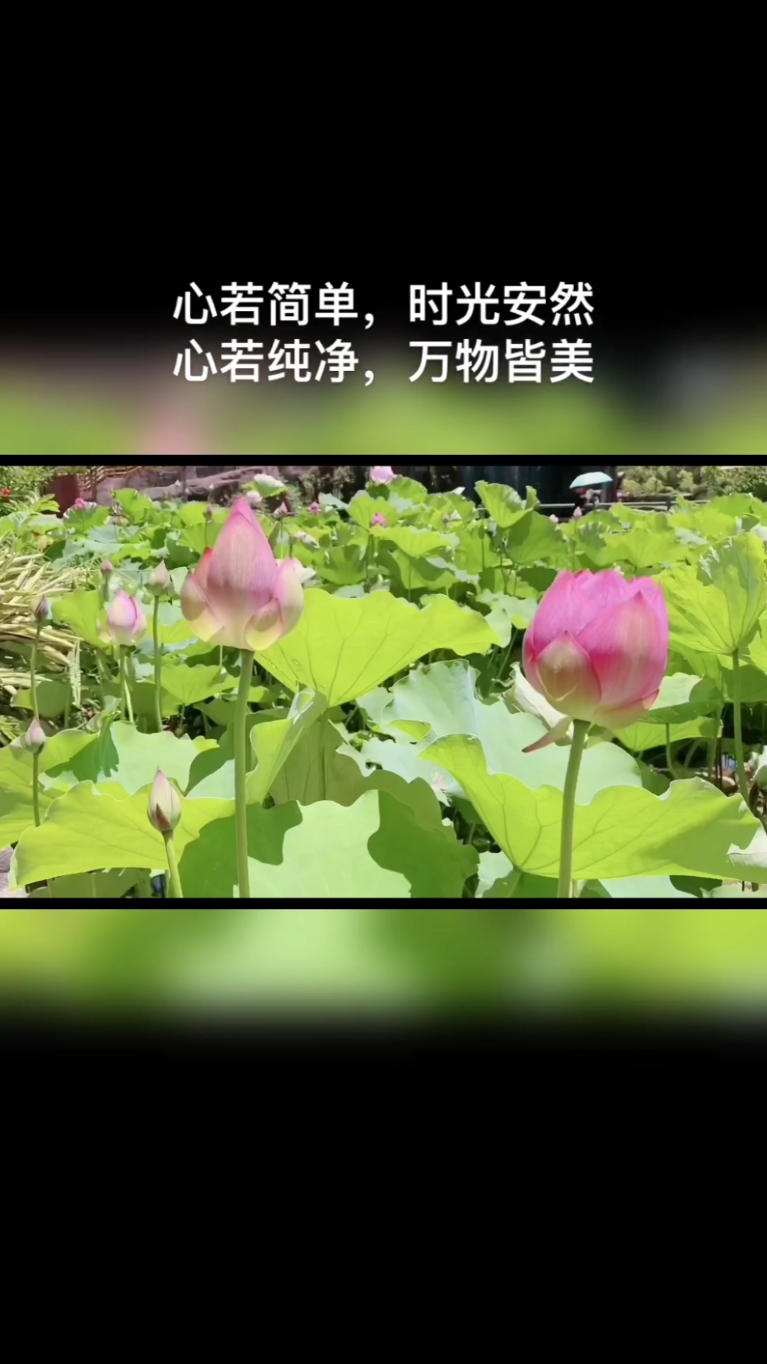 带你去旅行#心若简单,时光安然;心若纯净,万物皆美!