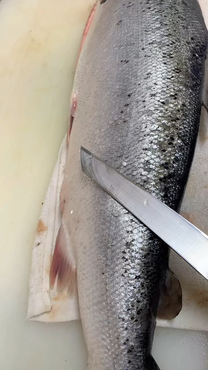 三文鱼#三文鱼去鱼鳞,这个手法大家看看怎么样?