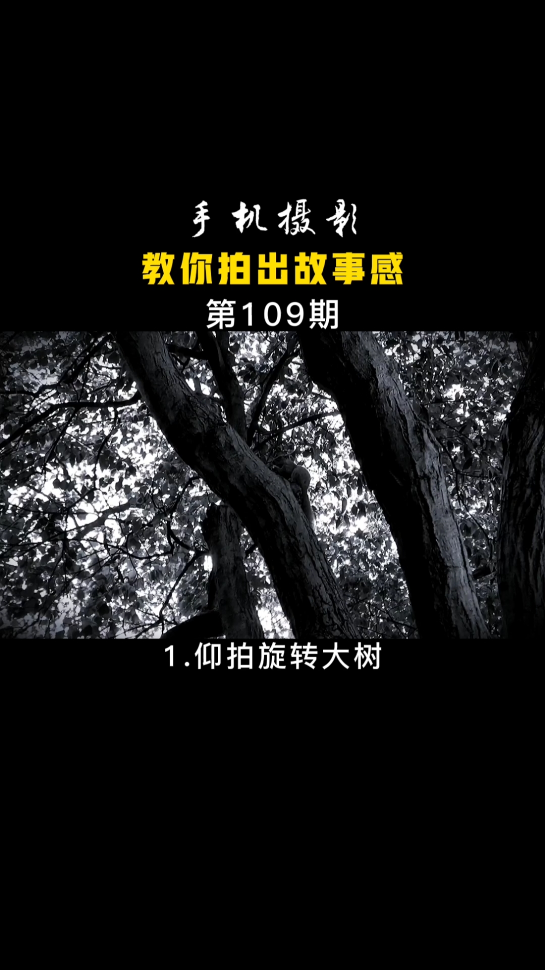 手机摄影教学#简单几个镜头教你拍出故事感