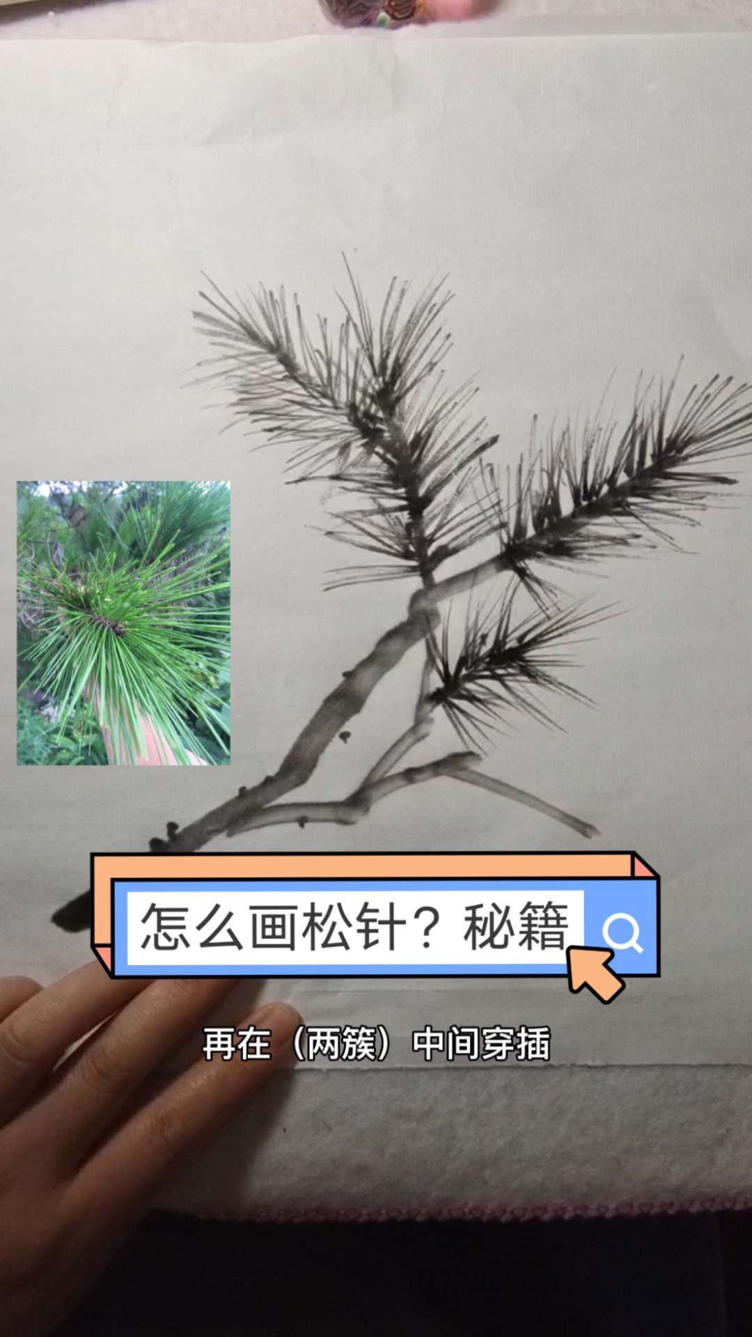 画画原来如此简单今天分享马尾松针的画法秘籍注意跟着我的视频练习哦