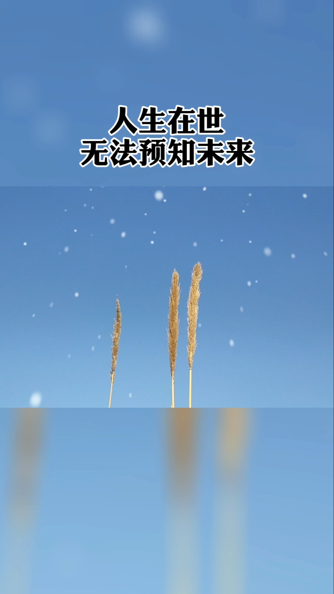 情感故事#人生在世无法预知未来