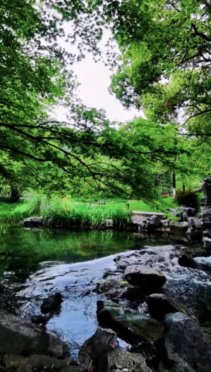 旅游进行时#大自然的声音,才是最好的疗愈系,你的烦恼在这大自然美景