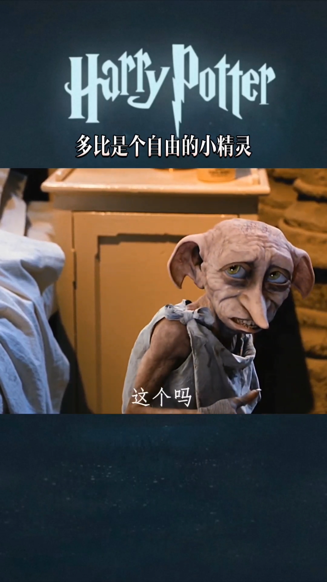 哈利波特多比是个自由的小精灵